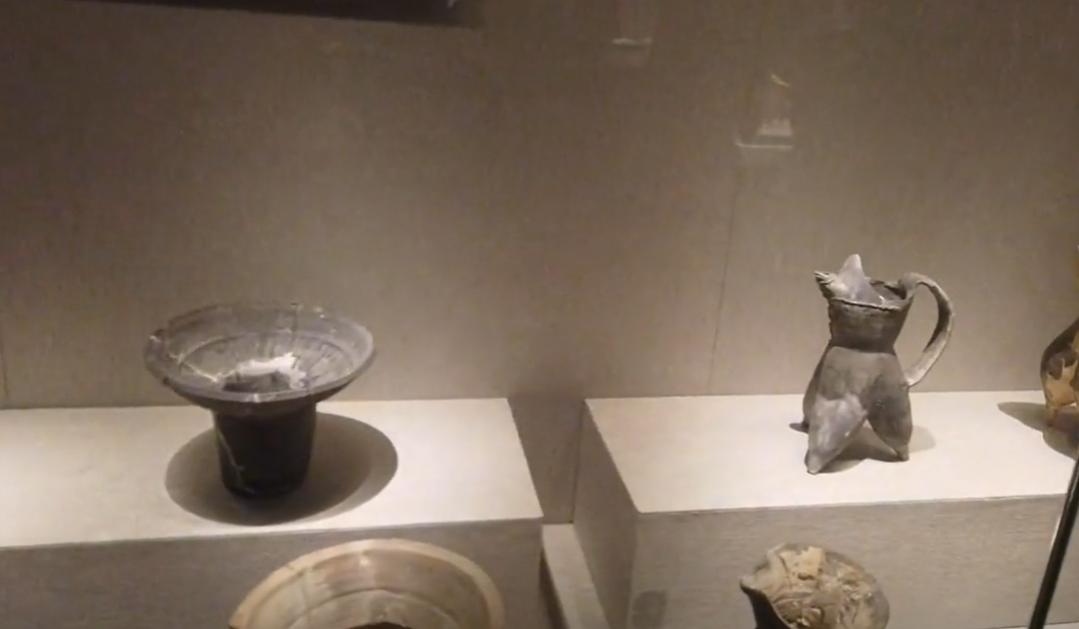 郑州博物馆讲解,郑州大鲵科普展馆