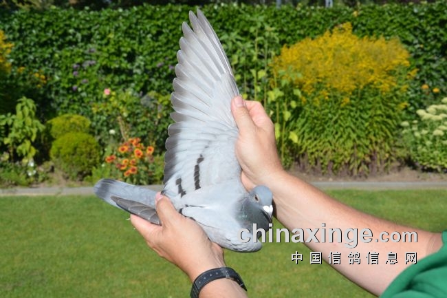 万里挑一的获奖者图片,万里挑一比赛视频