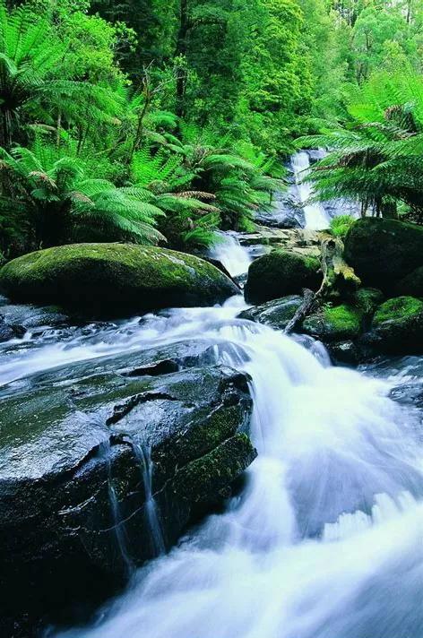 工作真难找也不知道要去哪里找了,工作真难找怎么办