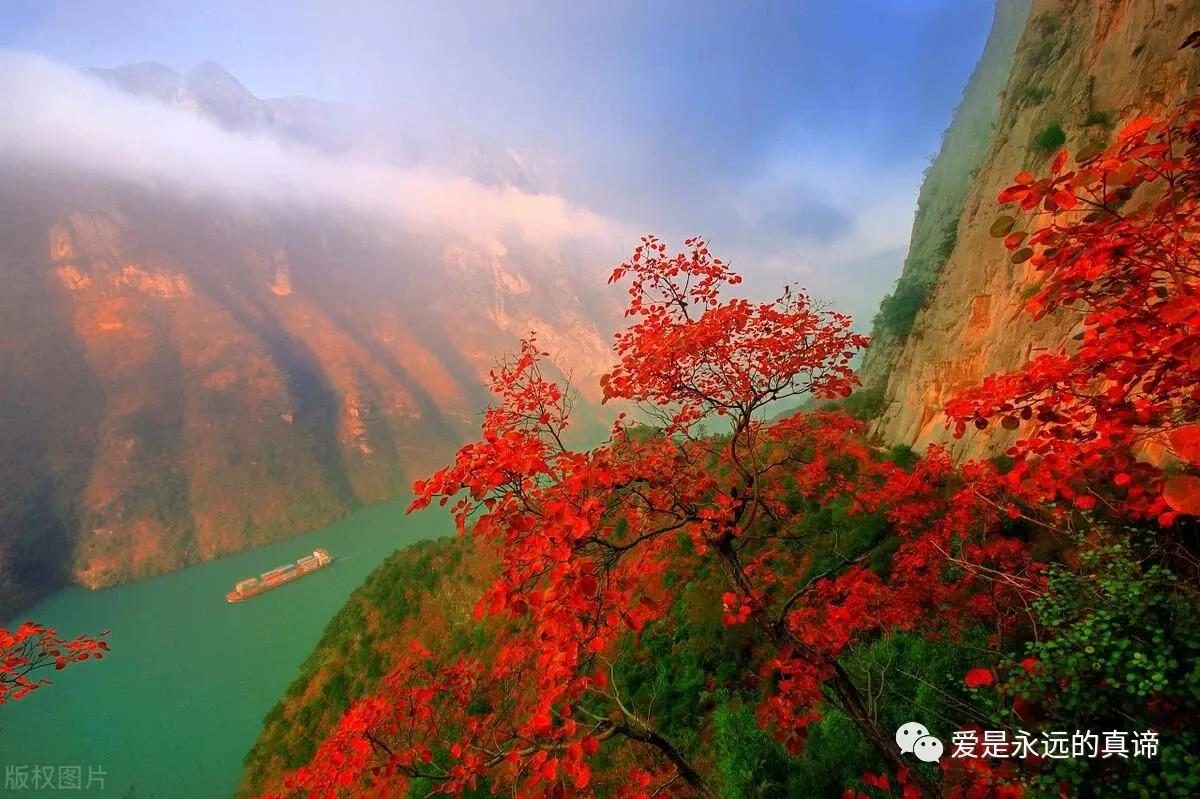 自主创业的好机会,从个人生活经历中寻找创业机会