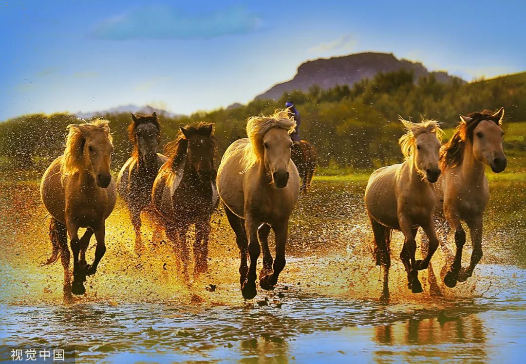 古人是怎么逛街的,古人怎么买买买