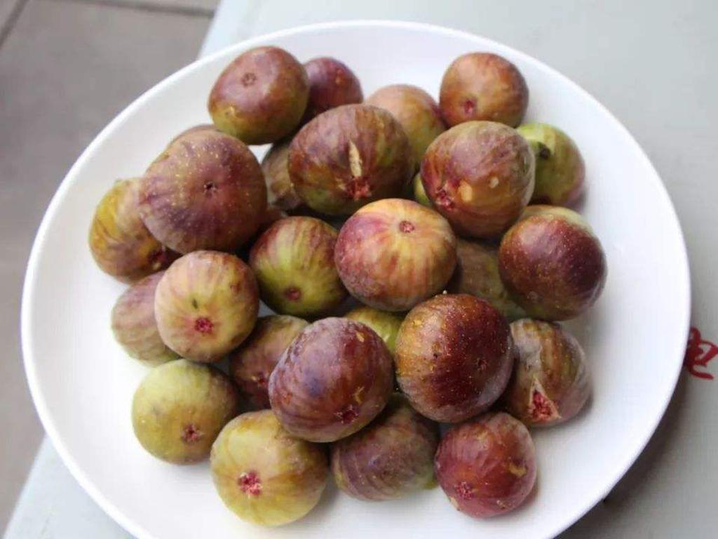 这野果长得似无花果,过去是农村娃的零食,如今稀罕少见20一斤