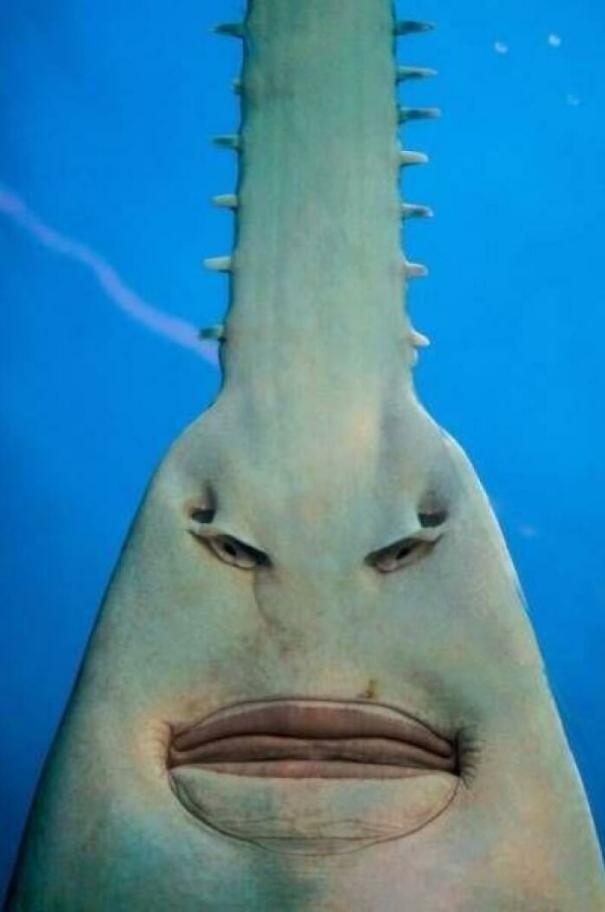 水下世界神秘视频,让人惊叹的水下视频