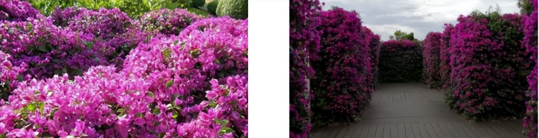 在休闲度假区有什么项目可操作,快来看看哪些项目更受欢迎