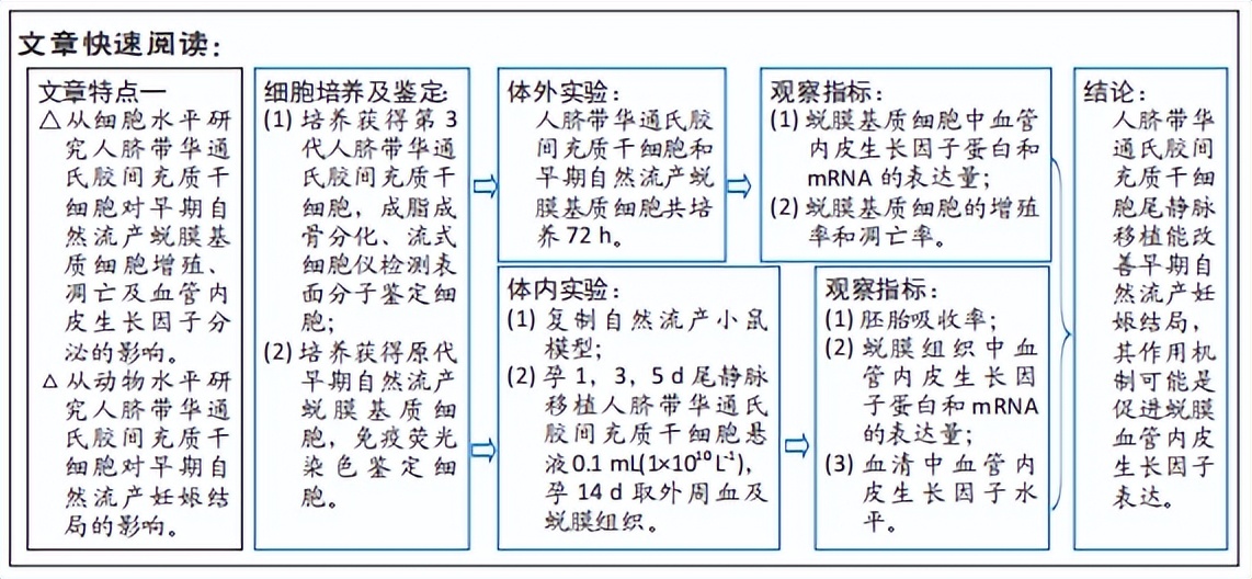 脐带间充质干细胞促进蜕膜血管内皮生长因子表达改善自然流产小鼠妊娠结局