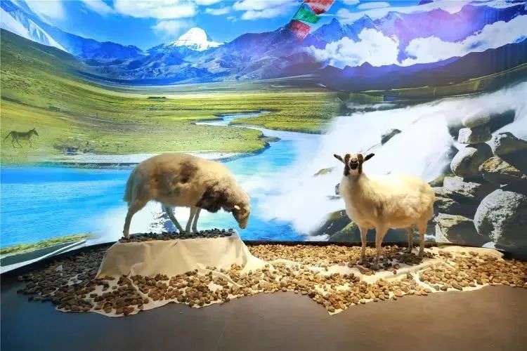 【FENG娱】王佐镇:娱乐+科普+自然,暑假解锁亲子出游新方式!