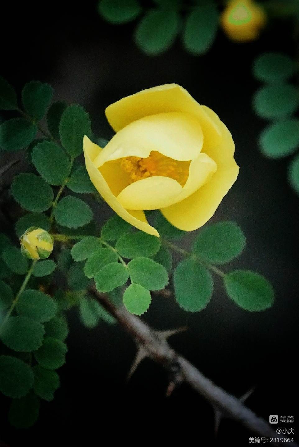 想让自己云淡风轻看淡世态炎凉,世态炎凉常让人心寒唯有做好自己