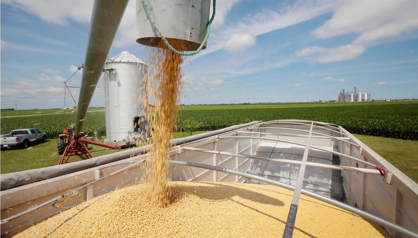 中国又进口美国大豆了吗,中国最新进口美国大豆等消息