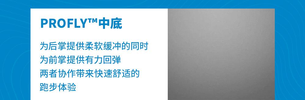 从阿尔卑斯山脉滑雪下来,从阿尔卑斯山飞下去