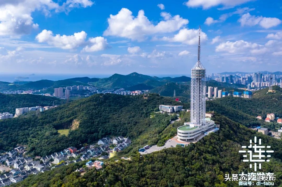 大连市小巨人,大连国家小巨人企业