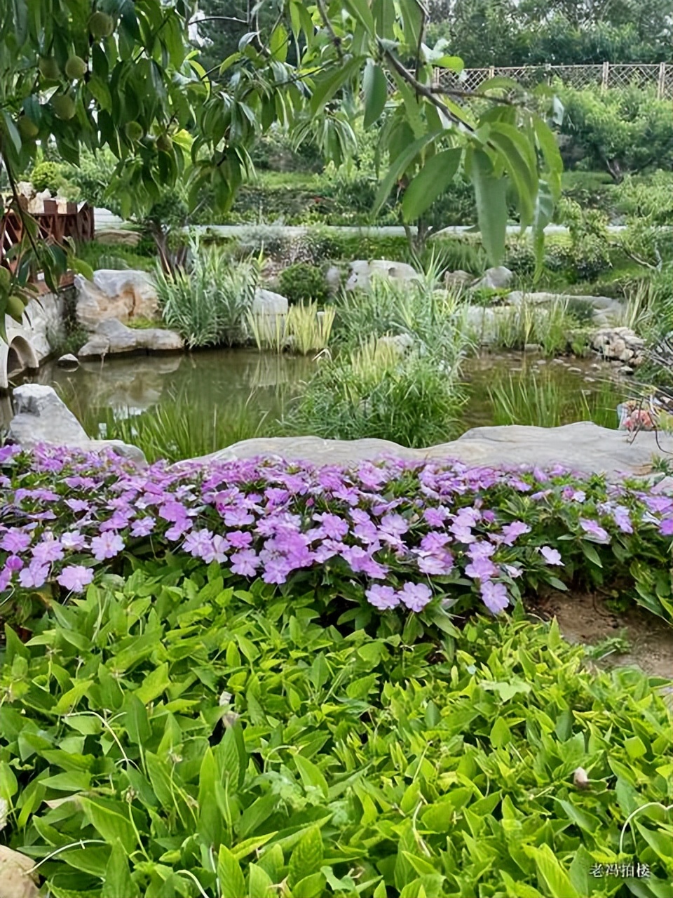 美宝莲,美爆了哟