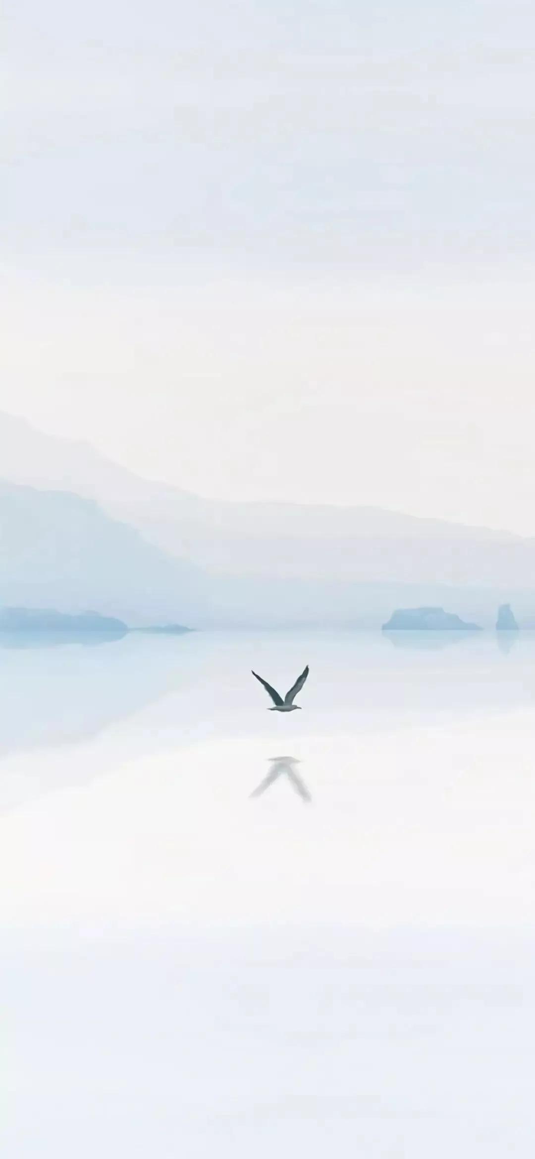 治愈微信聊天背景,微信聊天背景图片干净治愈可爱