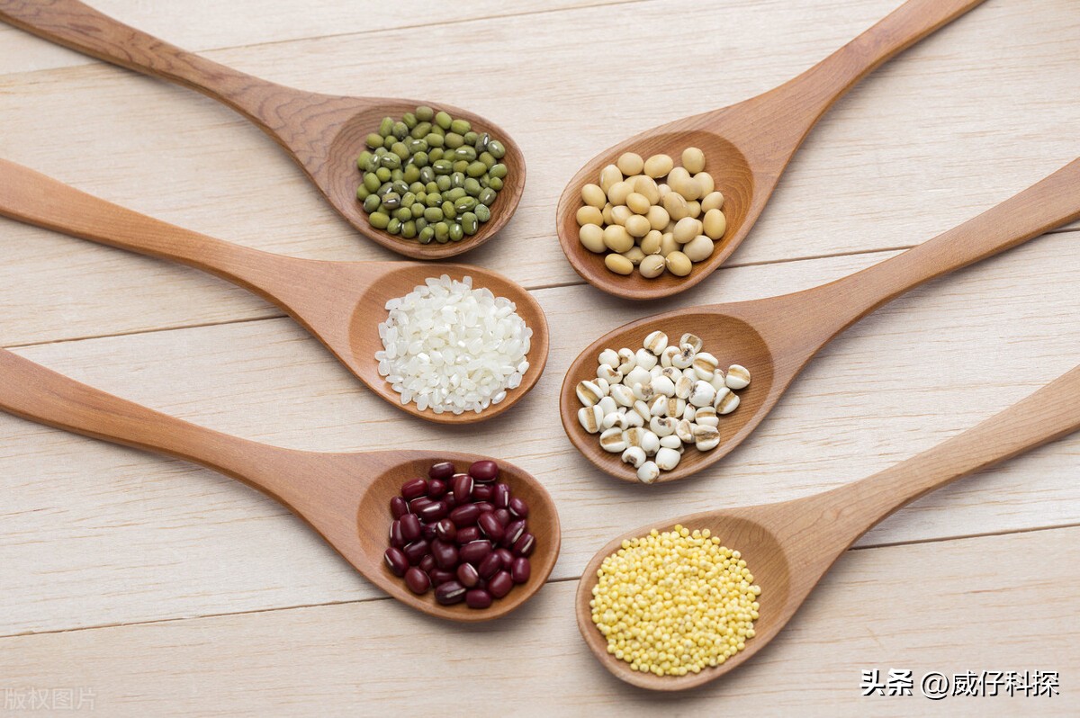 2020年农业最挣钱的商机,2023年在农村创业搞什么会赚钱