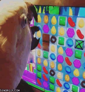 消消乐造成的后果,消消乐为何让人上瘾