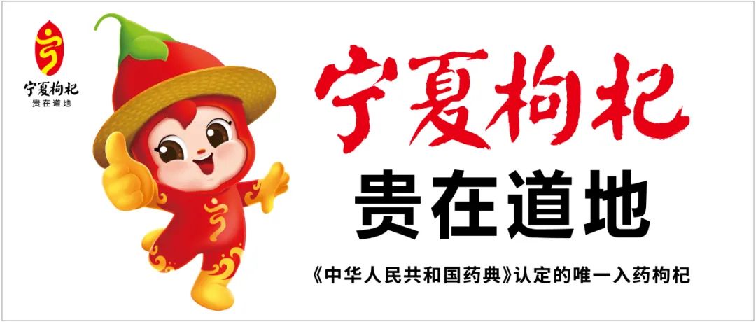 宁夏进一步加强枸杞产业质量,宁夏枸杞产业发展成就