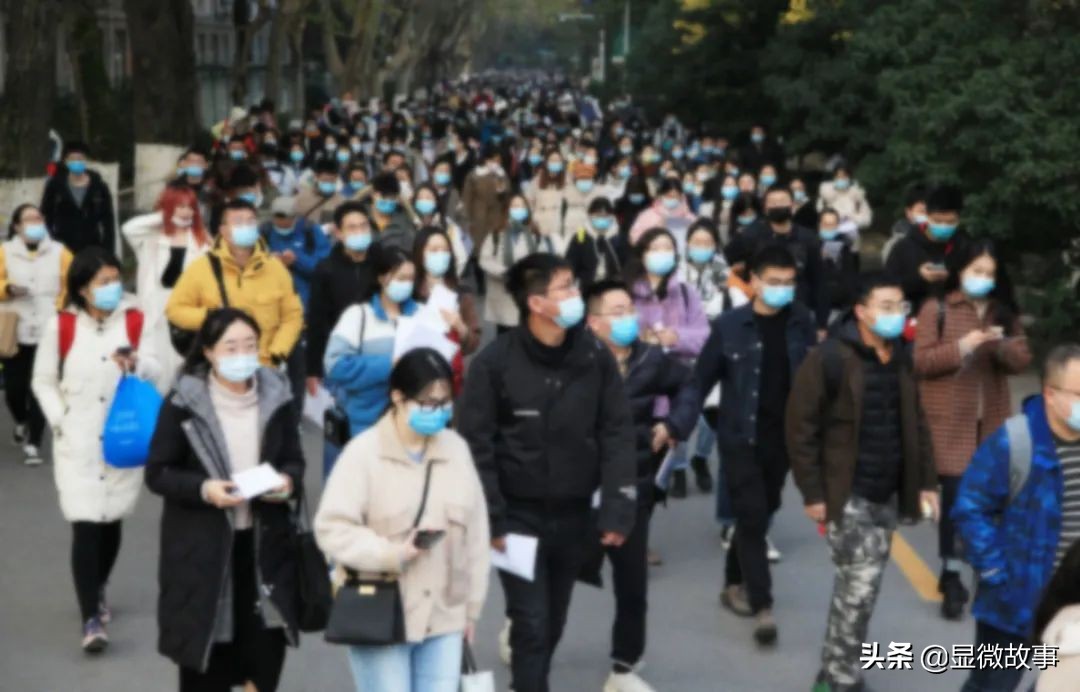 跟风裸辞后我彻底成了社会隐形人,裸辞之后我成为了一名自由职业者