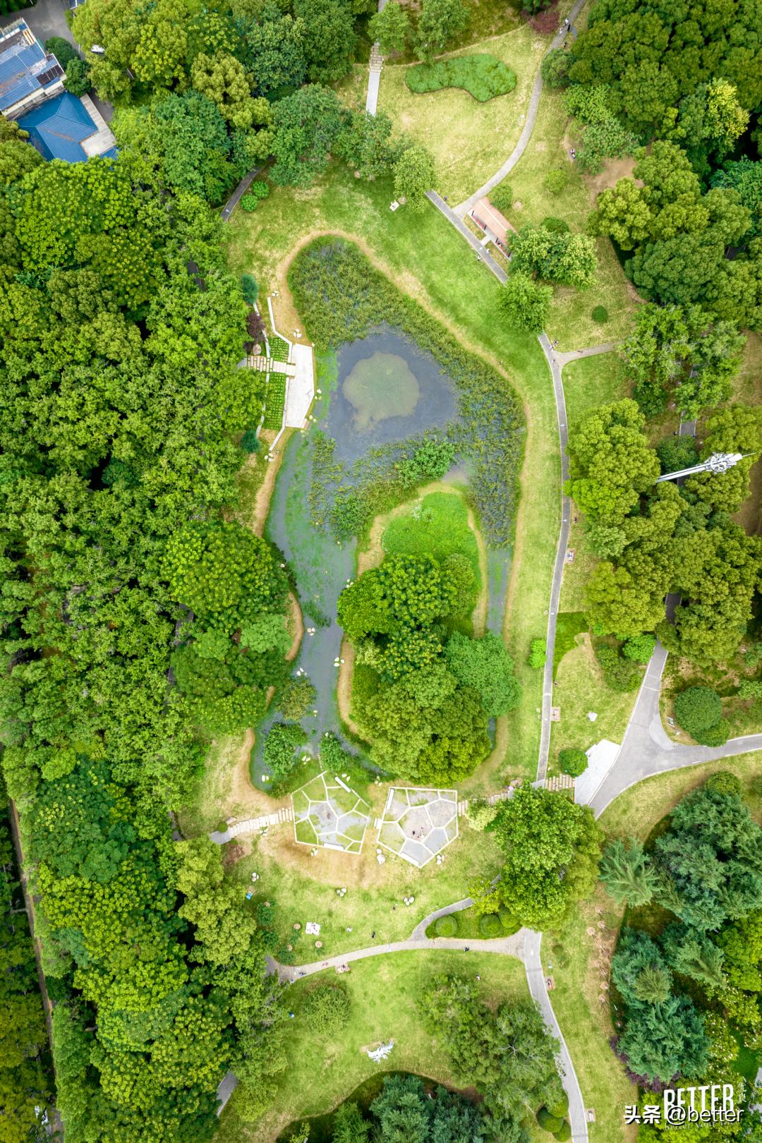 城中3处小众宝藏绿地，一起去散个步吗