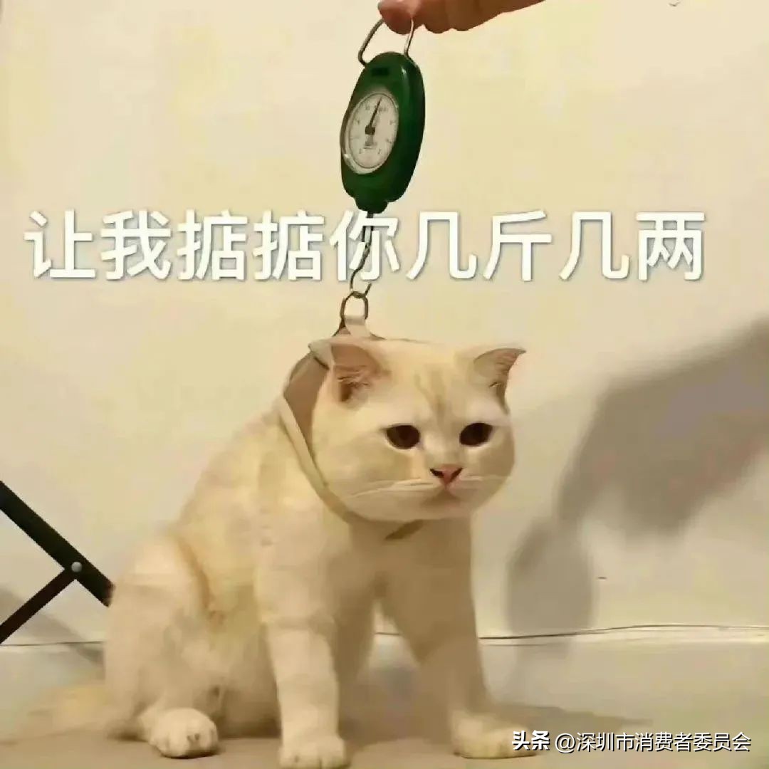 买海鲜如何不被坑,在海鲜市场买海鲜缺斤少两怎么办