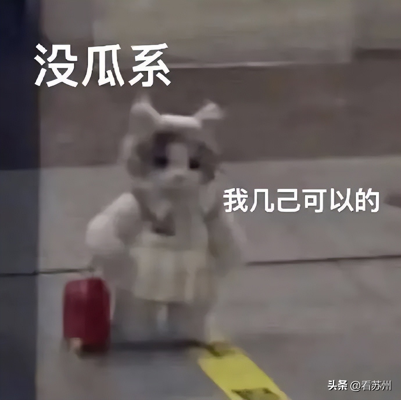 名场面父母辅导作业全程高能瞬间,名场面全国家长辅导作业