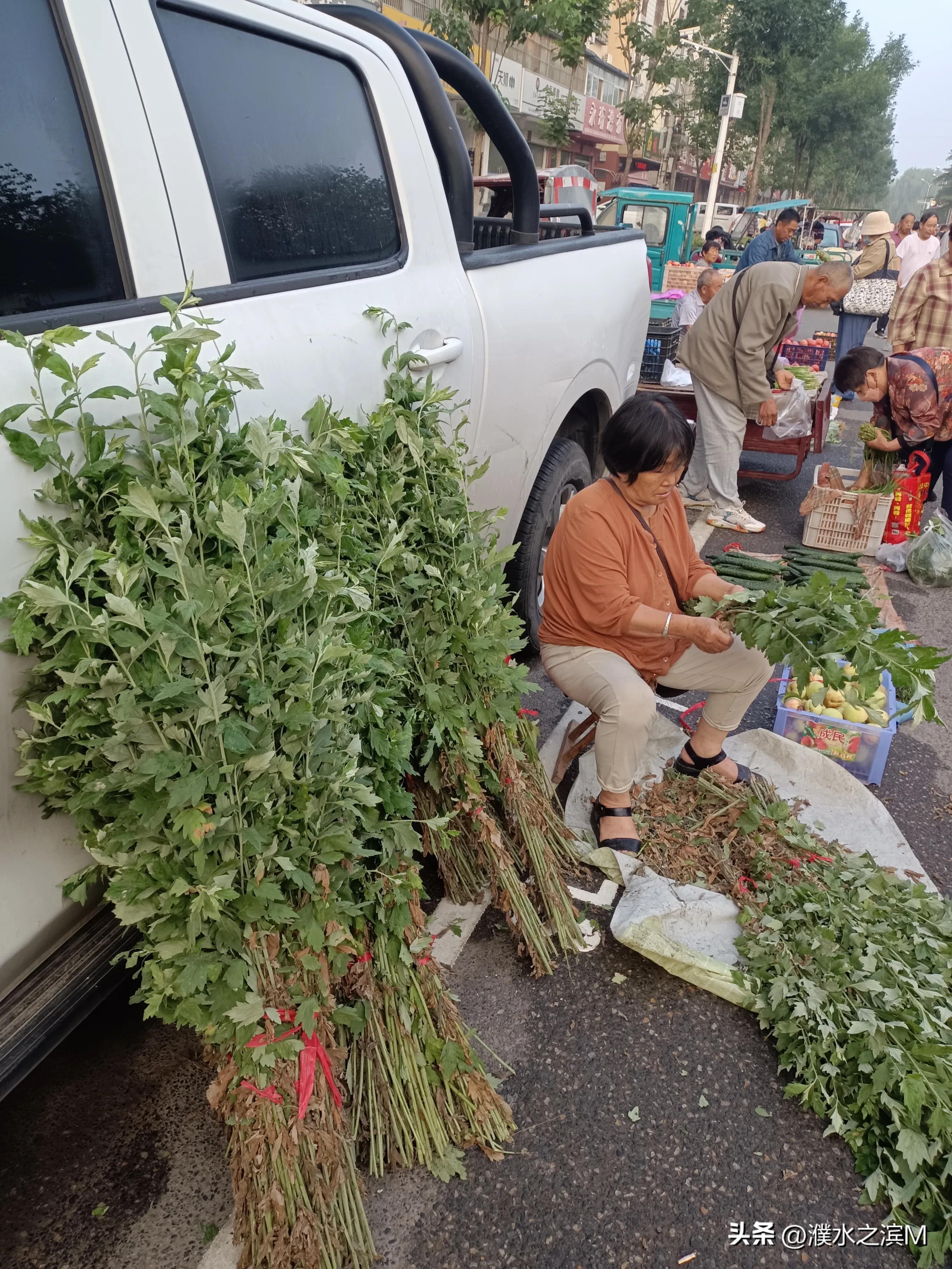 早市买包子,早市买股