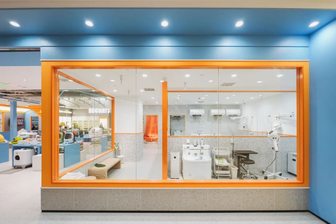 狗道宠物上海嘉定店,狗道宠物百联南方店