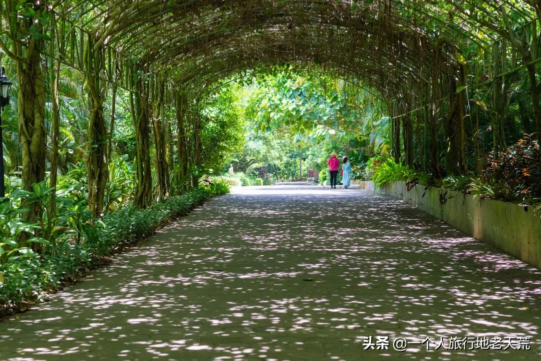 冲野浪、喝咖啡，比三亚便宜一半的海岛度假地，后悔没有早点知道