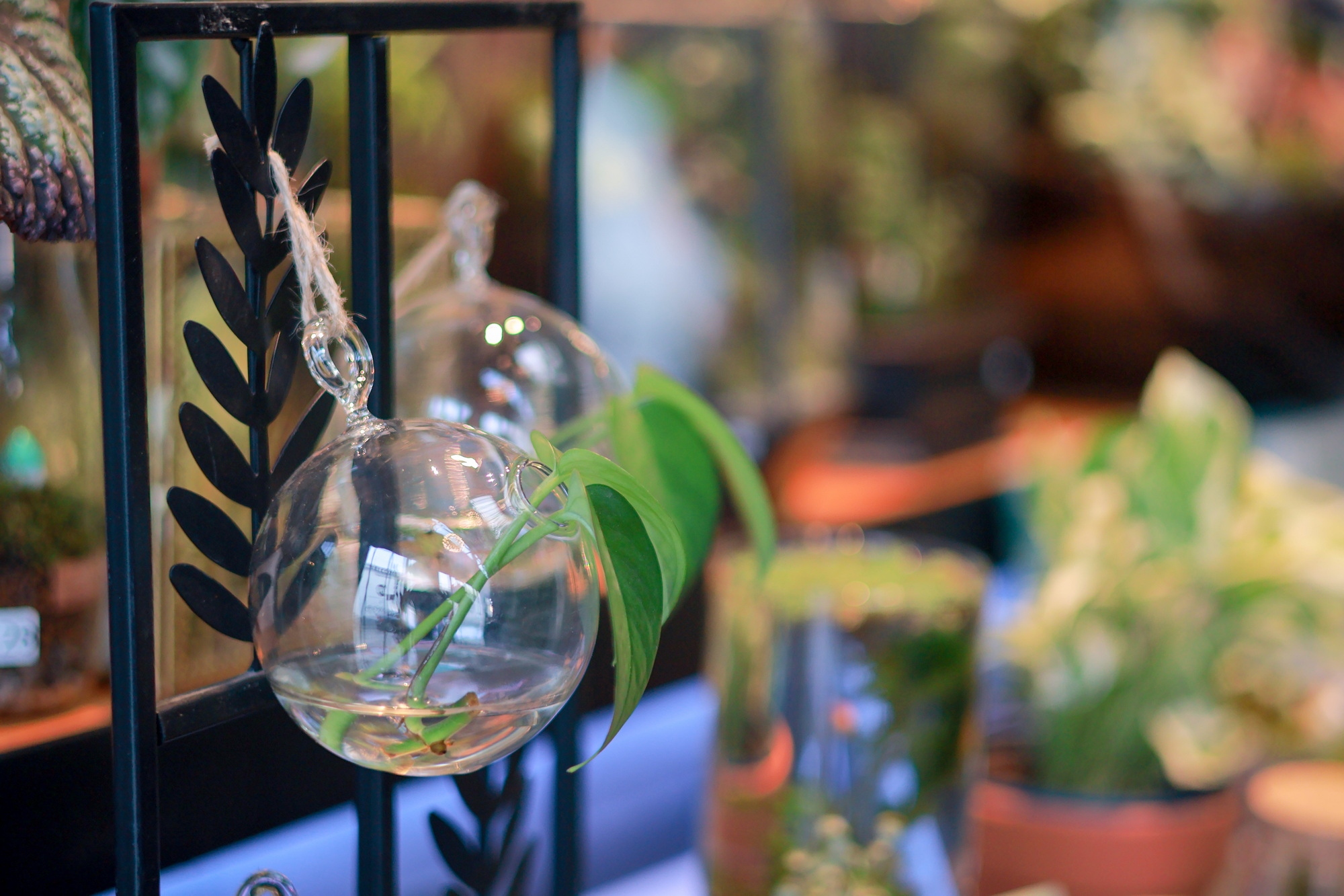 佳能eosr50深度评测,佳能eosr50优缺点