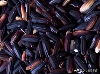 英国大米推荐,各种米的分类