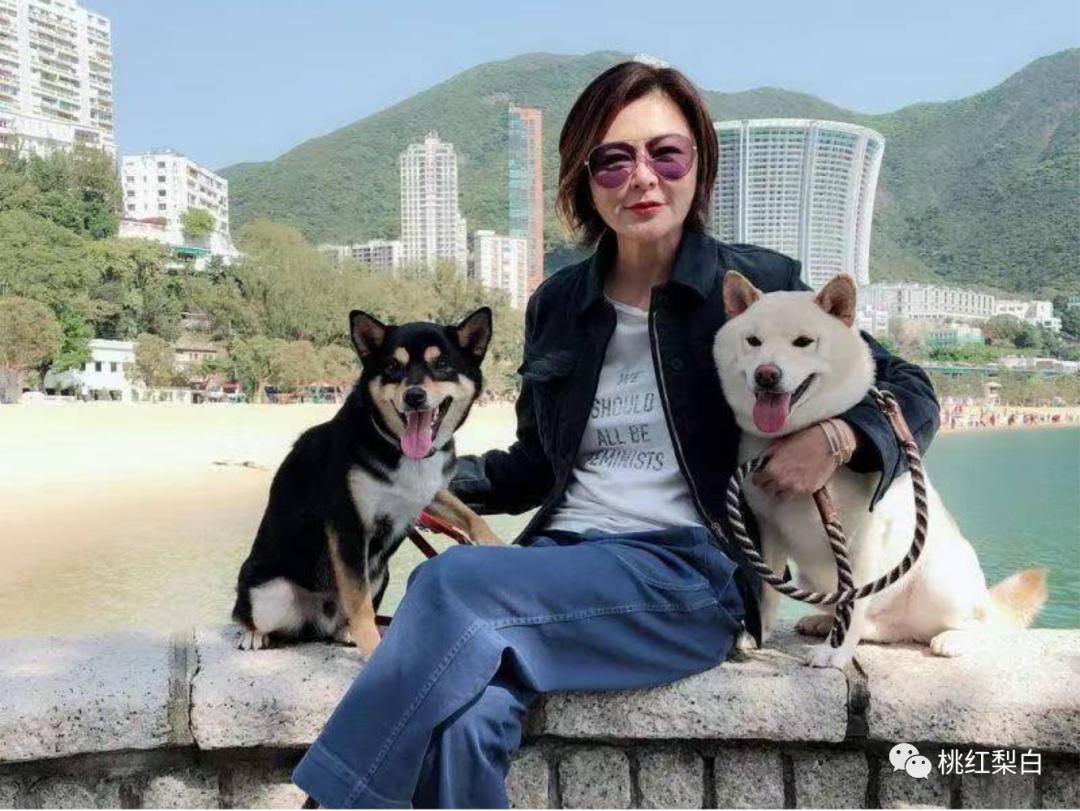 59岁关之琳豪宅内景曝光,香江第一美女关之琳年轻时颜值