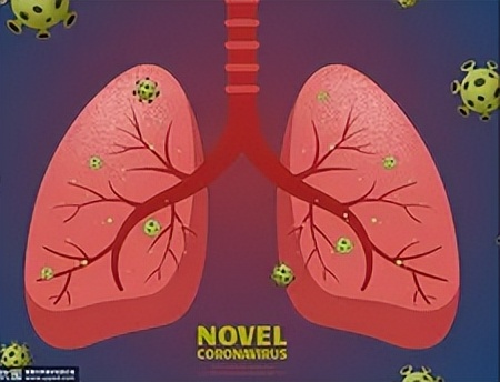 支气管扩张血管破裂还能活多久,肺结核导致支气管扩张可以活多久