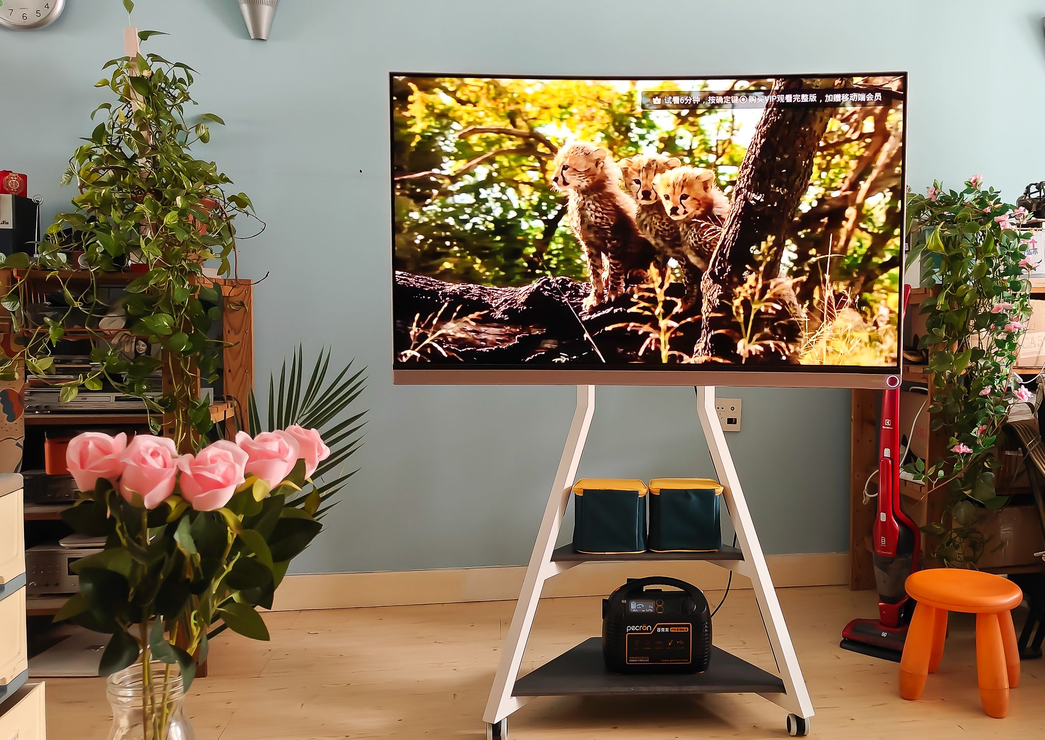 还在纠结电视用壁挂还是电视柜？有第三种方法！从此处处是C位