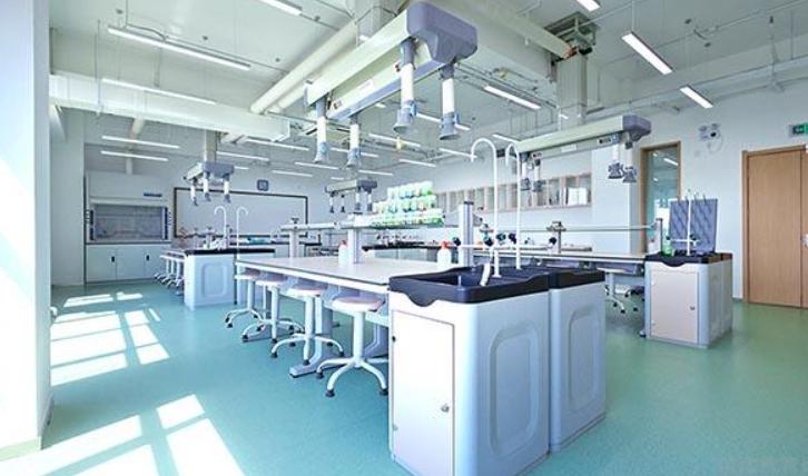 俞敏洪新东方国际双语学校好不好,新东方教育培训机构关停