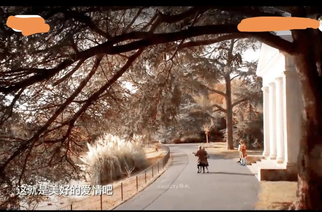 疫情封闭与解封,疫情期间网络相亲怎么样