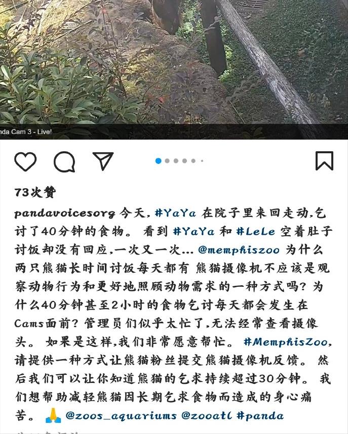 万人*愿请**国宝回家，留美熊猫遭遇了什么？