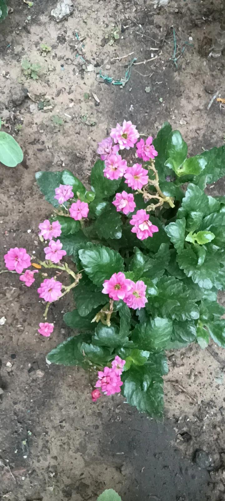 有声书怎么赚钱呢,有声书怎么赚外快