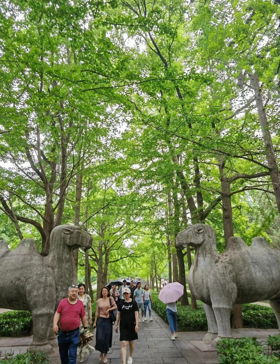 南京旅游攻略最详细攻略,南京旅游自由行详细攻略