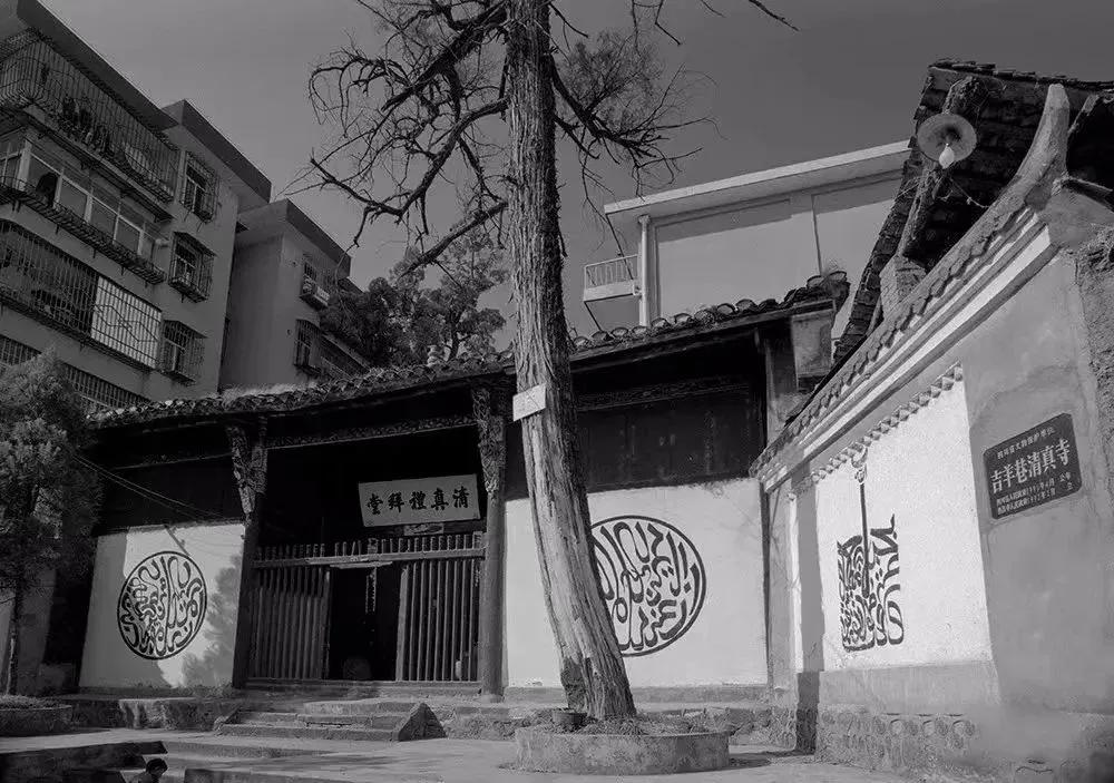 生活在大理的外地人,生活在拉萨的外地人