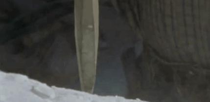 面纱掩盖着的是一个少女的贞洁，也是整个帝国的命运