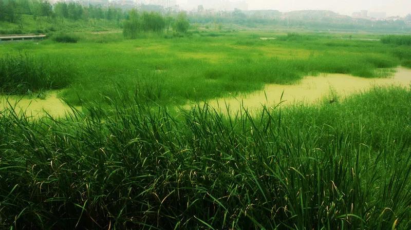 山中送别古诗词,支教送别古诗词