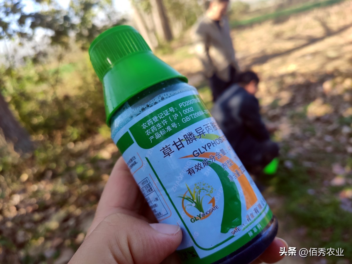 草甘膦除草剂价格走势图最新消息,草甘膦除草剂价格涨了吗
