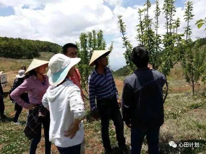 陈荣三：台湾有句话，如果不把钱给有机农民，以后必定加倍给医生