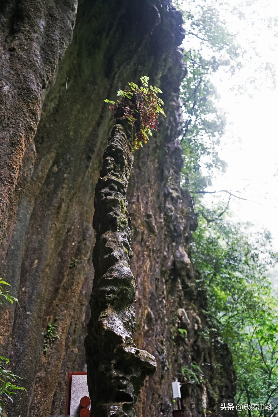 神龙峡漂流风景图片,神龙峡瀑布漂流全程