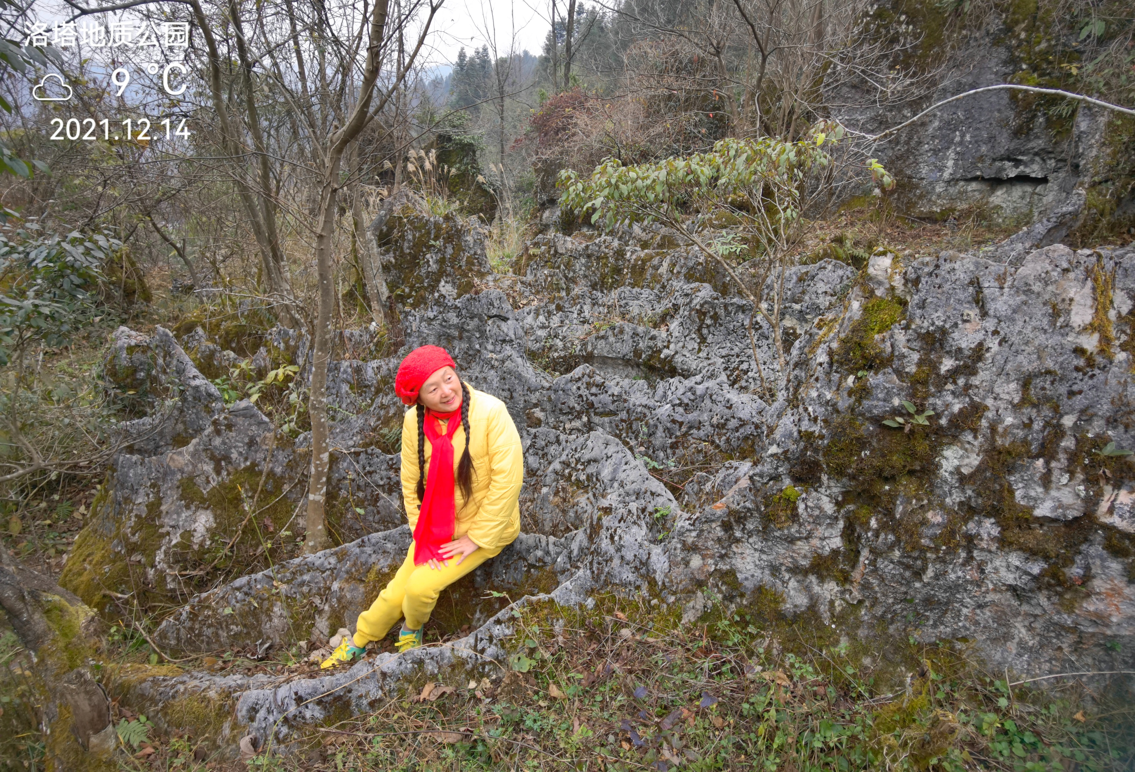 这里的两部百科全书值得一读