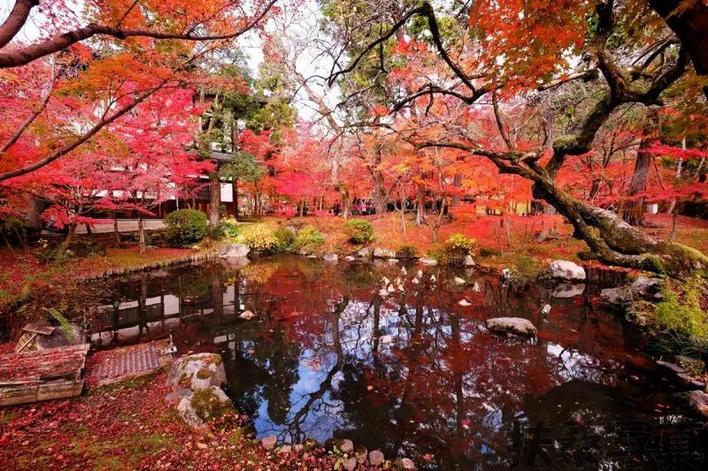 【话说日本景点的“门票价格”】