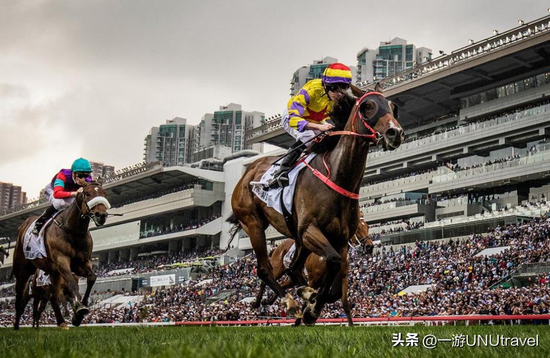 你了解香港赛马吗?这篇文章告诉你怎么去赛马会玩!
