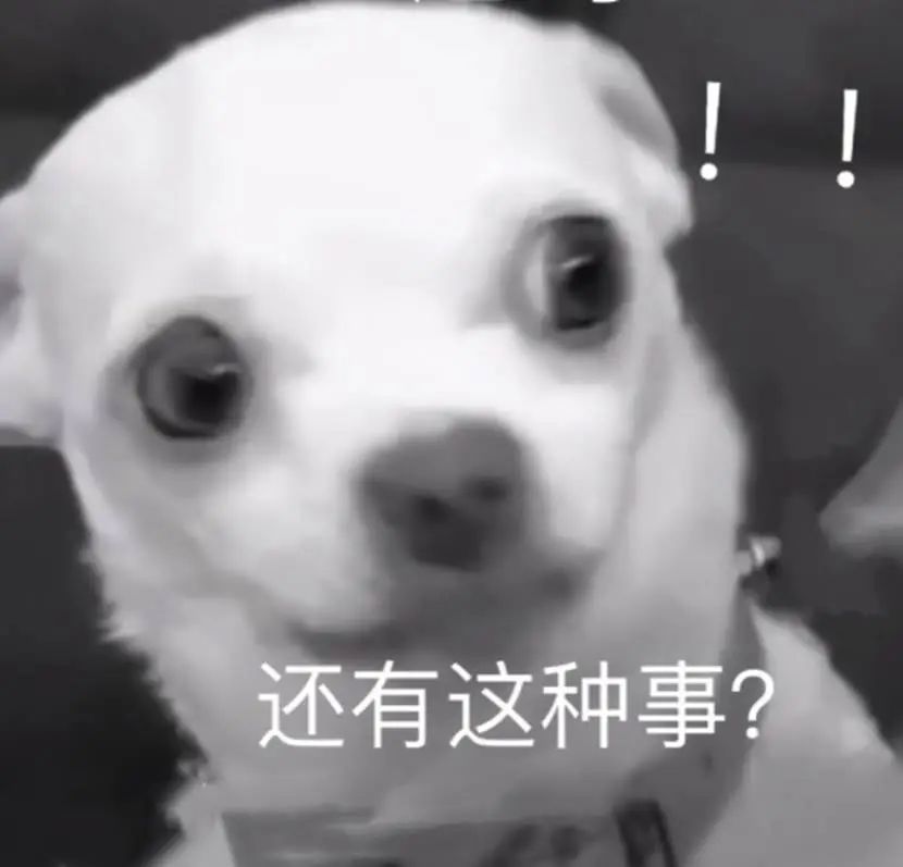 奢侈品涨价以后销量,奢侈品涨价反而哄抢