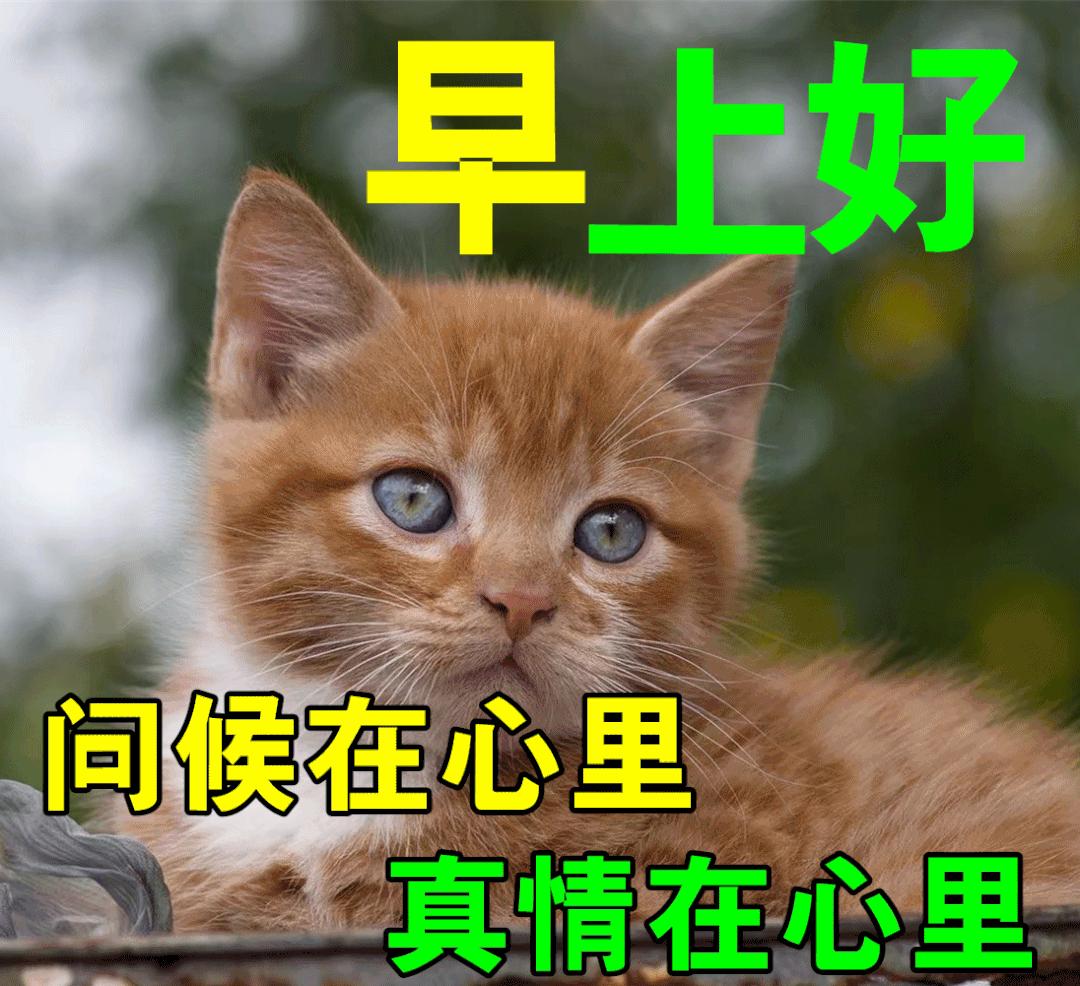 12月8日早上好,早安祝福语美好的一天从问候开始