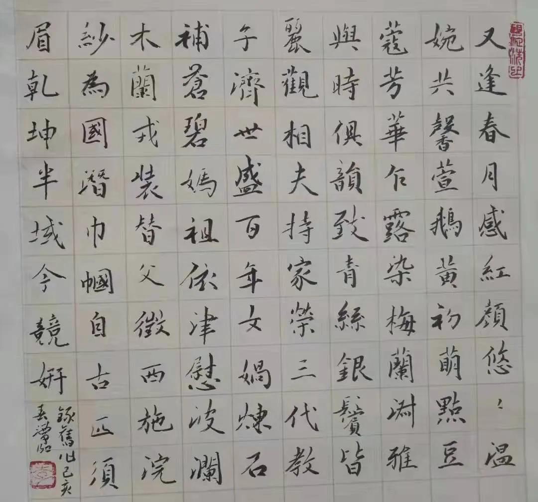 福虎迎春书法作品欣赏,福虎迎新春绘画手稿