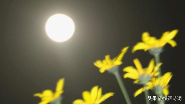 千古第一咏月诗,一首意境纯美特别好听的诗歌