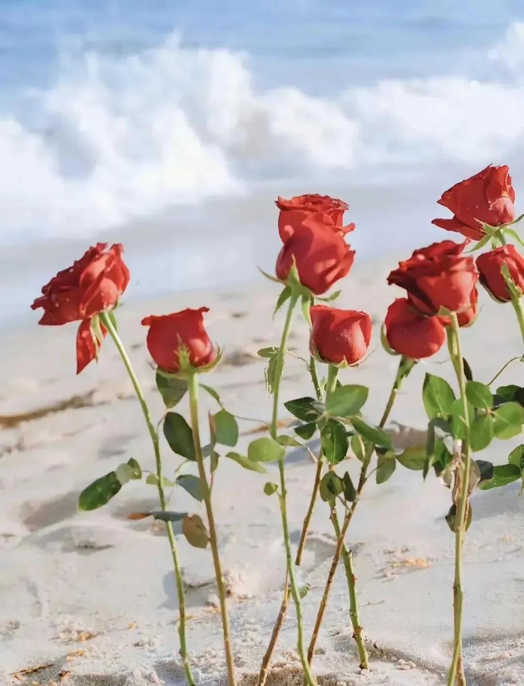 优微推荐|感到焦虑、疲倦?快停止你的精神内耗